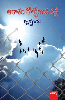 Aakaasam Kolpoyina Pakshi